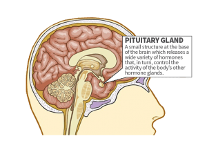 Prices For Treating Pituitary Adenoma Abroad Medical Tourism With Mediglobus The Best Treatment Around The World