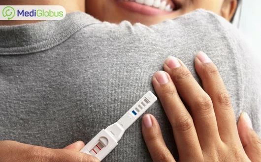 THE METHODS OF FERTILIZATION