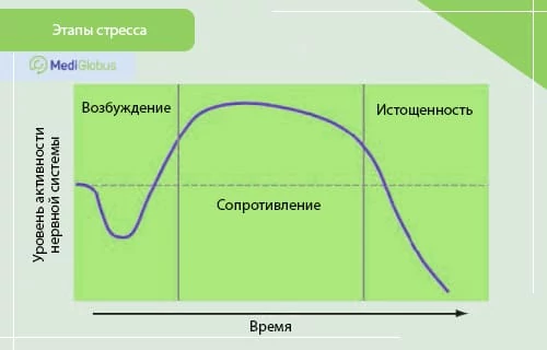 Какие стадии стресса существуют Инфографика: Стадии стресса