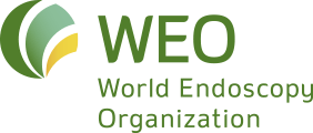 лого world endoscopy organization