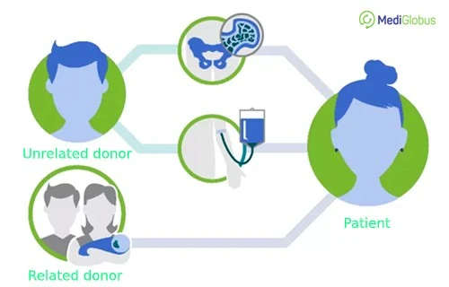 Bone marrow transplant in Germany