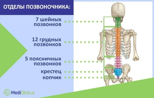 Лечение межпозвоночной грыжи в зависимости от расположения Оперативное и консервативное лечение межпозвоночной грыжи
