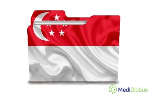 Singapore flag folder