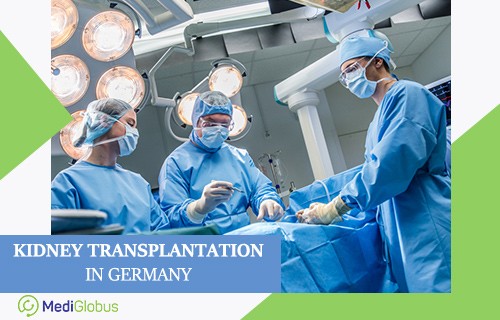 success of kidney transplants in Germany is more than 92%