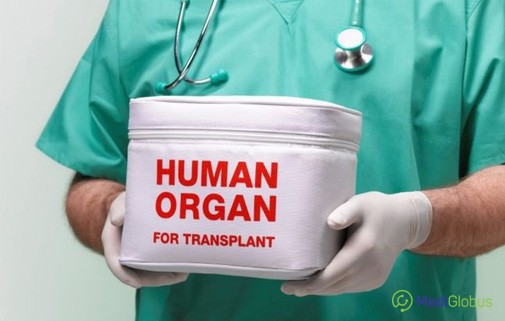 Трансплантация органов в Турции. Топ-клиники по трансплантологии.