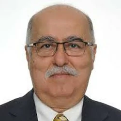 Проф. Нихат Эгемен