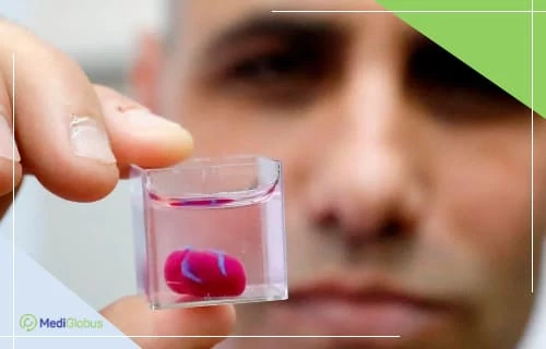 Живое сердце, распечатанное на 3D принтере