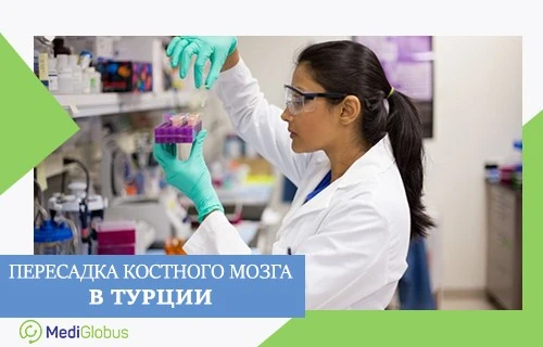Стоимость пересадки костного мозга в турецких клиниках специалист в лаборатории работает с образцами в пробирках