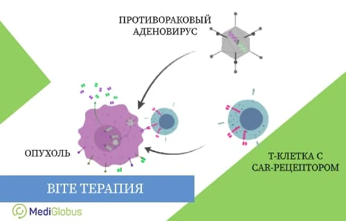 Перспективные методы лечения диффузной В-крупноклеточной лимфомы