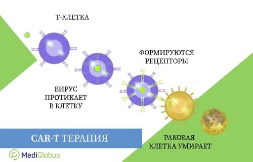 Перспективные методы лечения диффузной В-крупноклеточной лимфомы