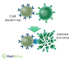 how_cart_therapy_work_ukr Як працює CAR-T терапія при лікуванні раку схема