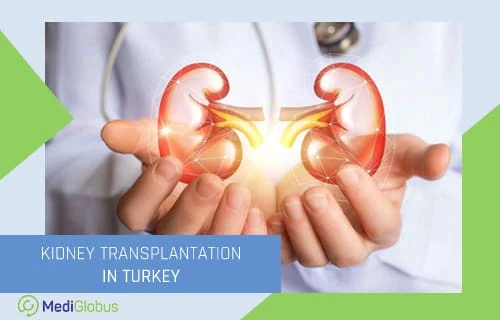 kidney transplantation surgery in turkey