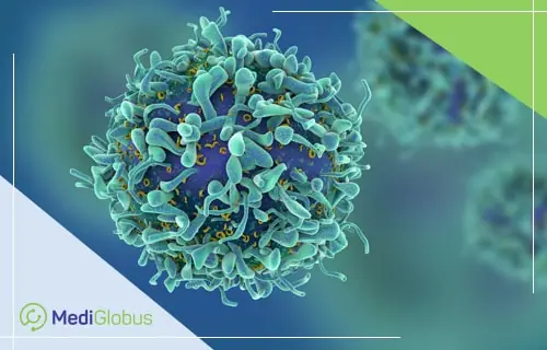 myeloma disease