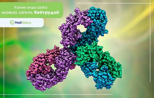 Кейтруда — препарат иммунотерапии, одобренный FDA для лечения нескольких видов рака Молекулярная модель антитела, используемого в иммунотерапии рака