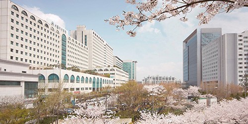 asan hospital in korea