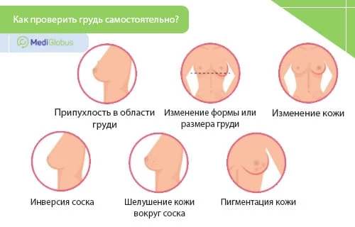 Признаки ангиосаркомы молочной железы Инфографика: Как определить рак молочной железы дома самостоятельно
