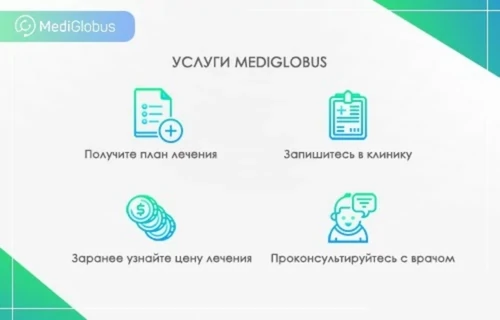 Услуги MediGlobus Инфографика: Услуги MediGlobus