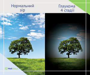 glaucoma_4stage_info Як бачить світ людина з глаукомою 4 стадії