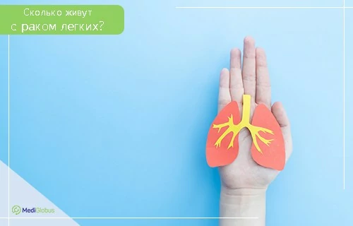 Выживаемость при раке легких На голубом фоне — ладонь человека, на которой лежит бумажная модель лёгких красного цвета с жёлтыми бронхами и трахеей
