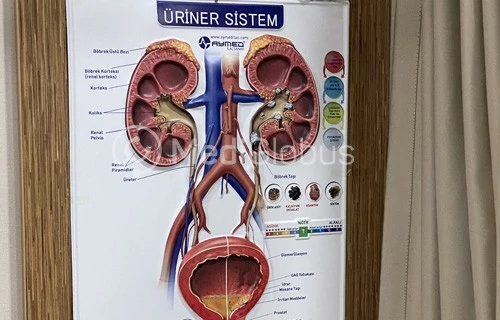 Клиника Медистейт (Medistate)