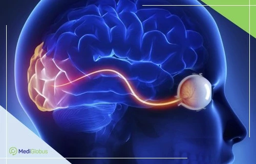 Могут ли стволовые клетки вылечить атрофию зрительного нерва?