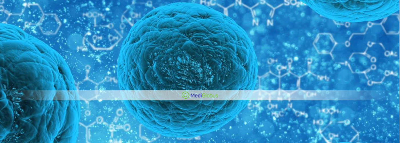 Ranking Of Leading Stem Cell Therapy Clinics Medical Tourism With Mediglobus The Best 0506