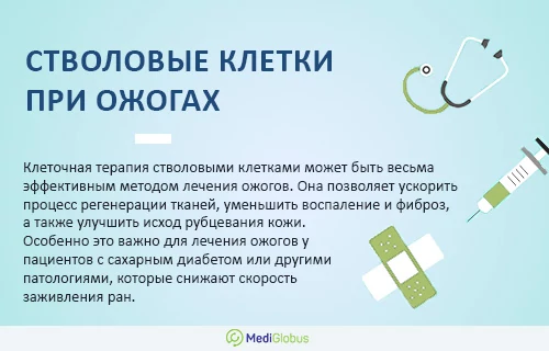 Информация про использование стволовых клеток при ожогах
