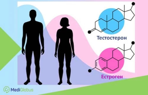 Гормональна терапія при раку простати та раку молочної залози Інфографіка про статеві гормони — тестостерон та естроген, а також про їхній зв’язок із фізіологією чоловіків і жінок