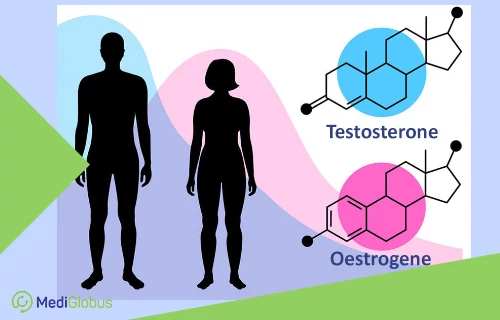oestrogene and testosterone