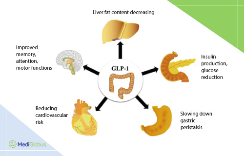 glp-1 agonists obesity diabetes treatment