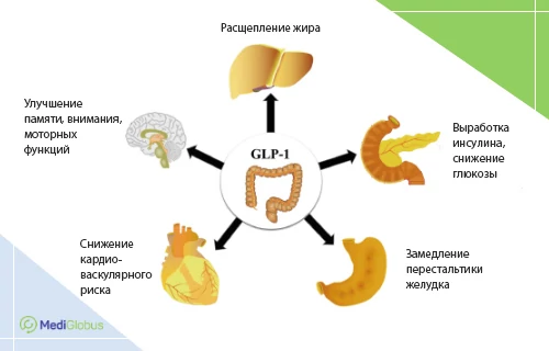 glp-1 агонисты при ожирении диабете
