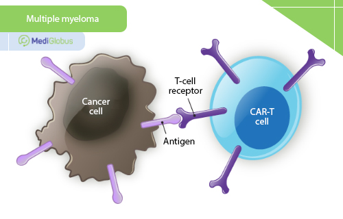 car-t therapy for multiple myeloma