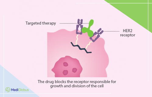 Comparison of treatments for HER2 positive breast cancer | Medical ...