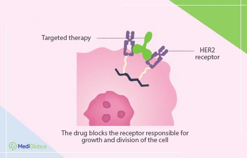 What is the most effective treatment for HER2 positive breast cancer ...