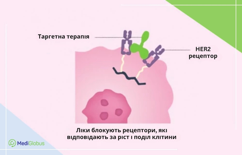 Цільова терапія HER2-позитивного раку молочної залози Схематична ілюстрація принципу дії таргетної терапії при онкологічних захворюваннях. На рожевому тлі зображено ракову клітину, на поверхні якої розташовані рецептори HER2. До цих рецепторів приєднуються молекули таргетного препарату, блокуючи їх.