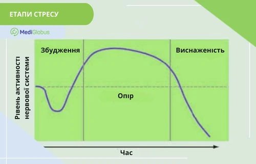 Які стадії стресу існують Інфографіка: Стадії стресу