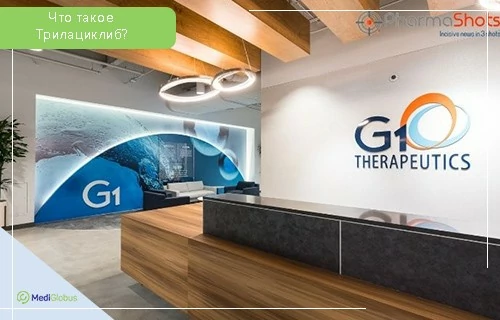 Интерьер офиса компании G1 Therapeutics 