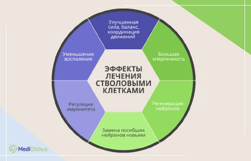 лечение бас стволовыми клетками