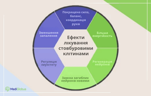 Результати лікування БАС стовбуровими клітинами Інфографіка «Результати лікування стовбуровими клітинами». У круговій діаграмі перелічено шість результатів терапії БАС: поліпшення сили та координації, підвищення енергійності, регенерація та відновлення нейронів, регуляція імунітету та зменшення запалення.