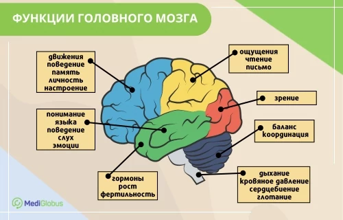 первые признаки опухоли головного мозга
