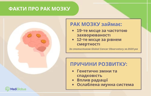 Факти про рак мозку та причини його розвитку Інфографіка: Факти про рак мозку. На схематичному силуеті голови зображено мозок із вогнищами ураження. Праворуч зазначено, що ця хвороба посідає 19-те місце за захворюваністю та 12-те за смертністю, а серед причин названо генетику, радіацію та слабкий імунітет.