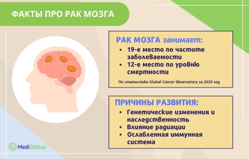 Факты про рак мозга и причины его развития Инфографика: Факты про рак мозга. На схематичном силуэте головы показан мозг с очагами поражения. Справа указано, что болезнь занимает 19-е место по заболеваемости и 12-е по смертности, а причинами названы генетика, радиация и слабый иммунитет.
