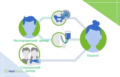 в чому різниця між трансплантацією кісткового мозку від спорідненого і неспорідненого донора Інфографіка: Пересадка кісткового мозку від спорідненого і неспорідненого донора