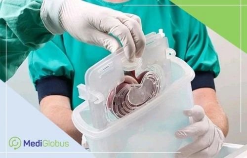 Пересадка почки от родственного и неродственного донора подготовка органа для трансплантации