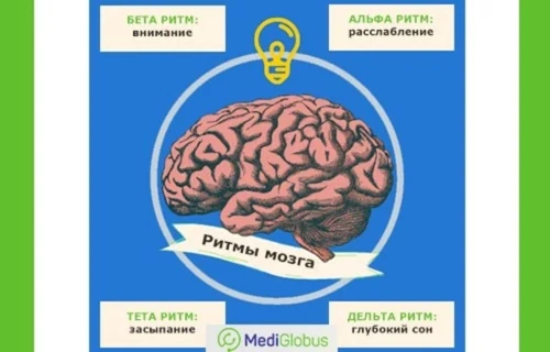 brain-rhythms Лечение неврологии с помощью biofeedback