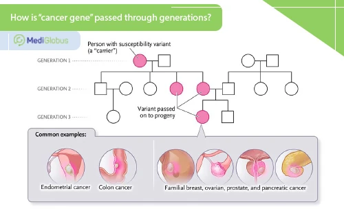 how is cancer risk inherited