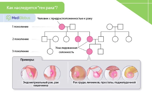 как передается предрасположенность к раку