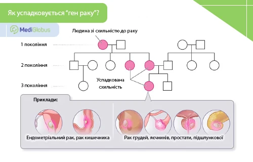 cancer-gene-through-generations-ukr cancer-gene-through-generations-ukr