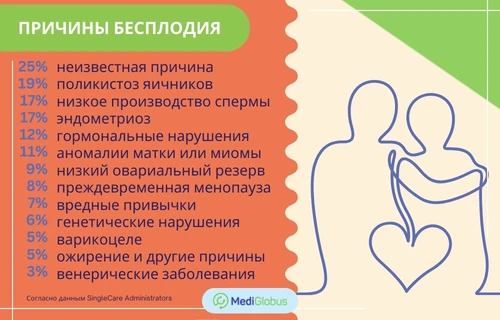 Вопросы репродуктологу — из-за чего бывает бесплодие?