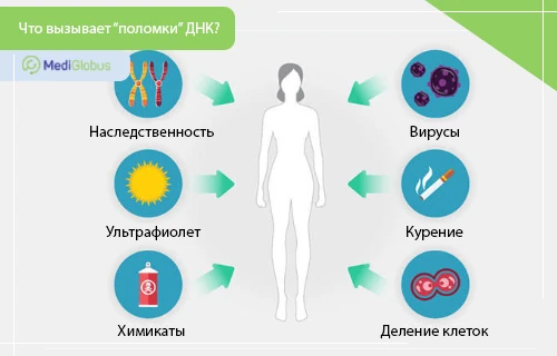 как происходят генетические мутации